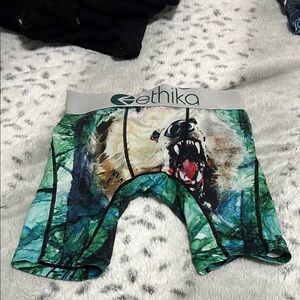 Boys Ethika Boxer Briefs with Bear Design in Green and Brown